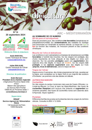 Bulletin de santé du végétal